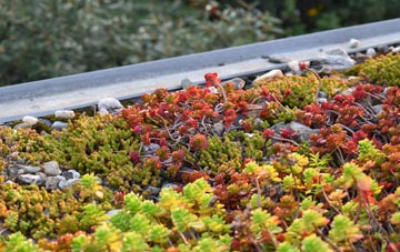 the cost of Willenhall green roof installation